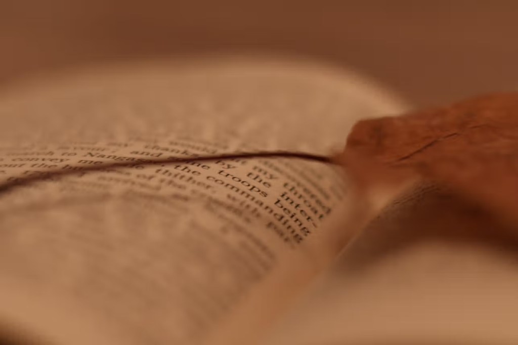 autum leafe on antique book